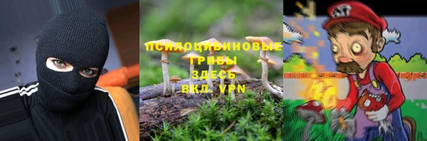 соль ск Елабуга