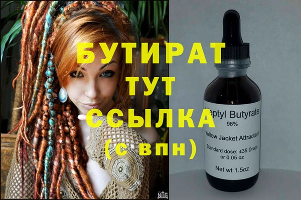 шишки Ельня