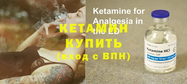 шишки Ельня