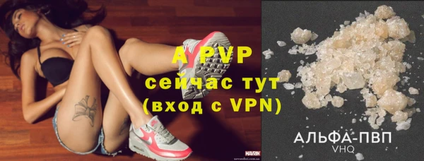 шишки Ельня