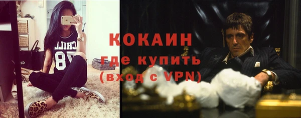 дмт Дмитриев