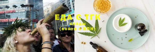 шишки Ельня