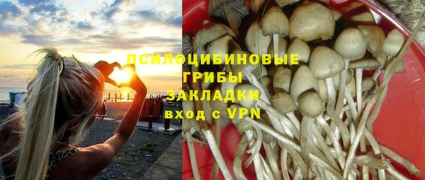 не бодяженный Аша