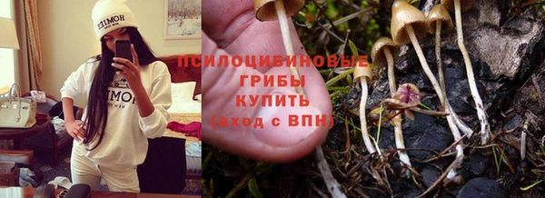каннабис Бабаево