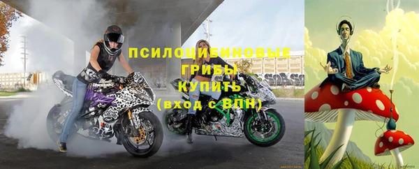 соль ск Елабуга